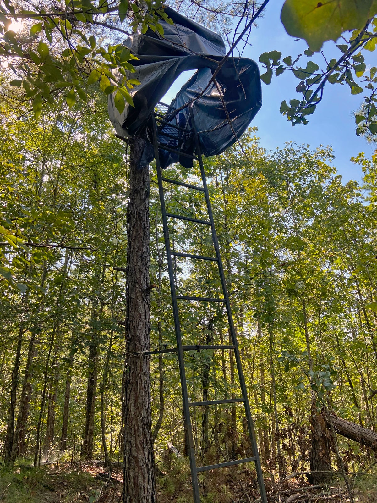 Single ladder stand with rail & skirt added. (Photo © Russ Chastain)