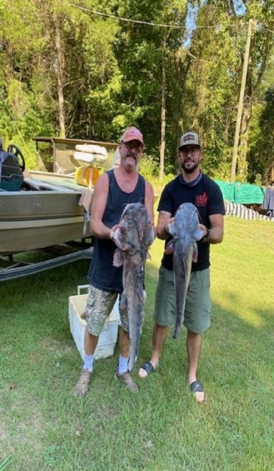 trotlining for big catfish