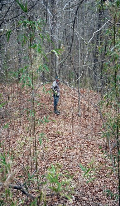 Expanded Roaming for Deer Season Scouting