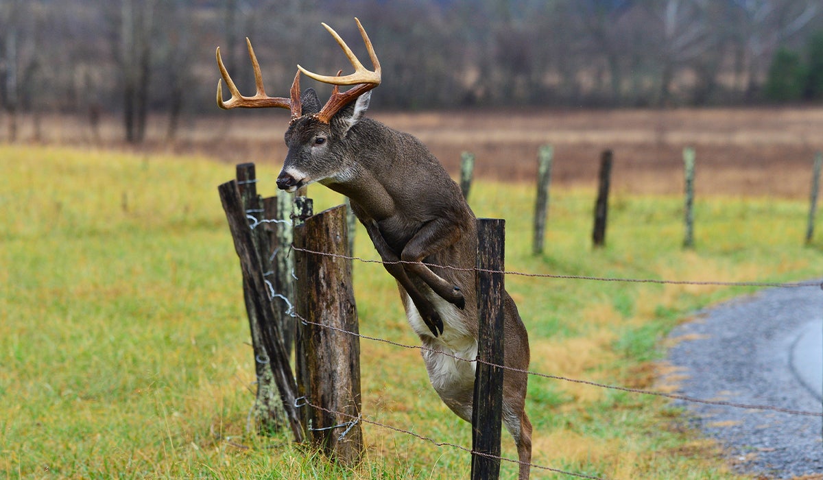 Don’t Screw Up the Opening Day of Bow Season!