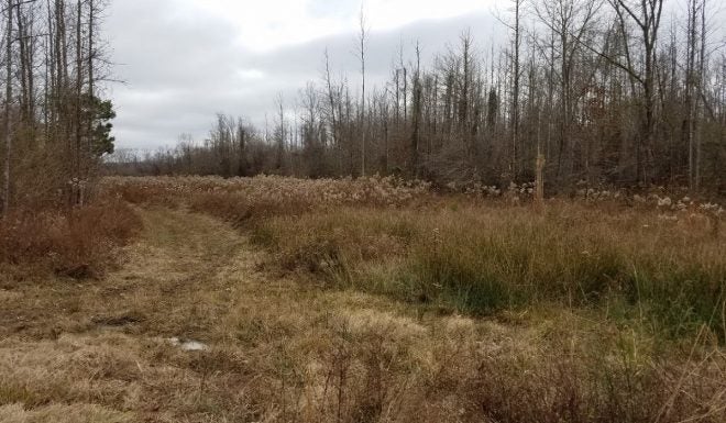 Preparing Hunting Property Before Deer Season