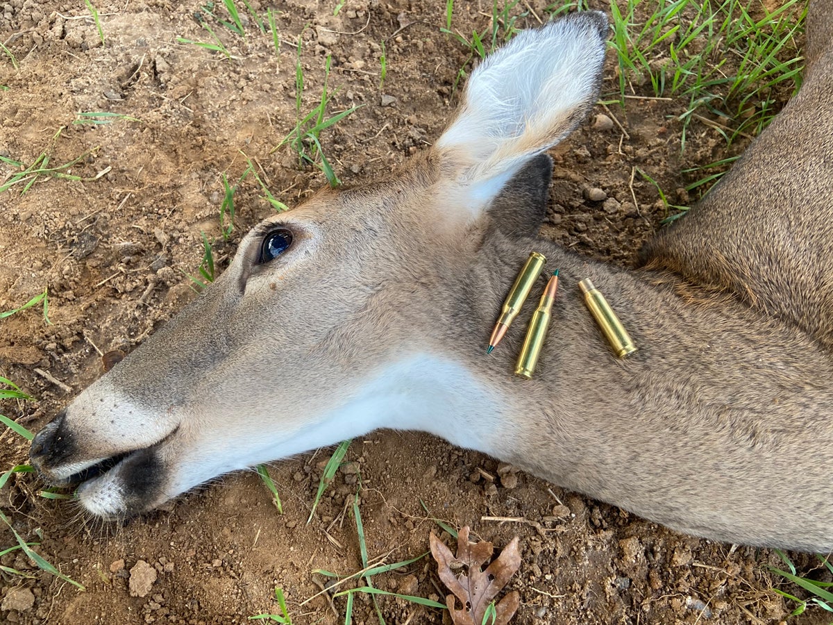 This 120-pound doe fell dead at the shot with Sierra GameChanger ammo. (Photo © Russ Chastain)