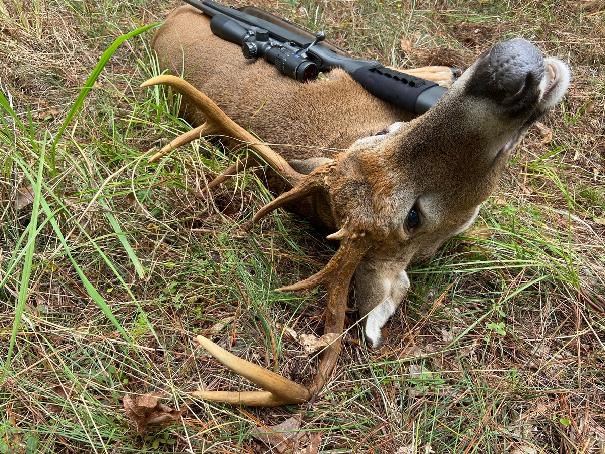 As he fell at the shot, the first buck buried his right antler in the ground and died like that. (Photo © Russ Chastain)