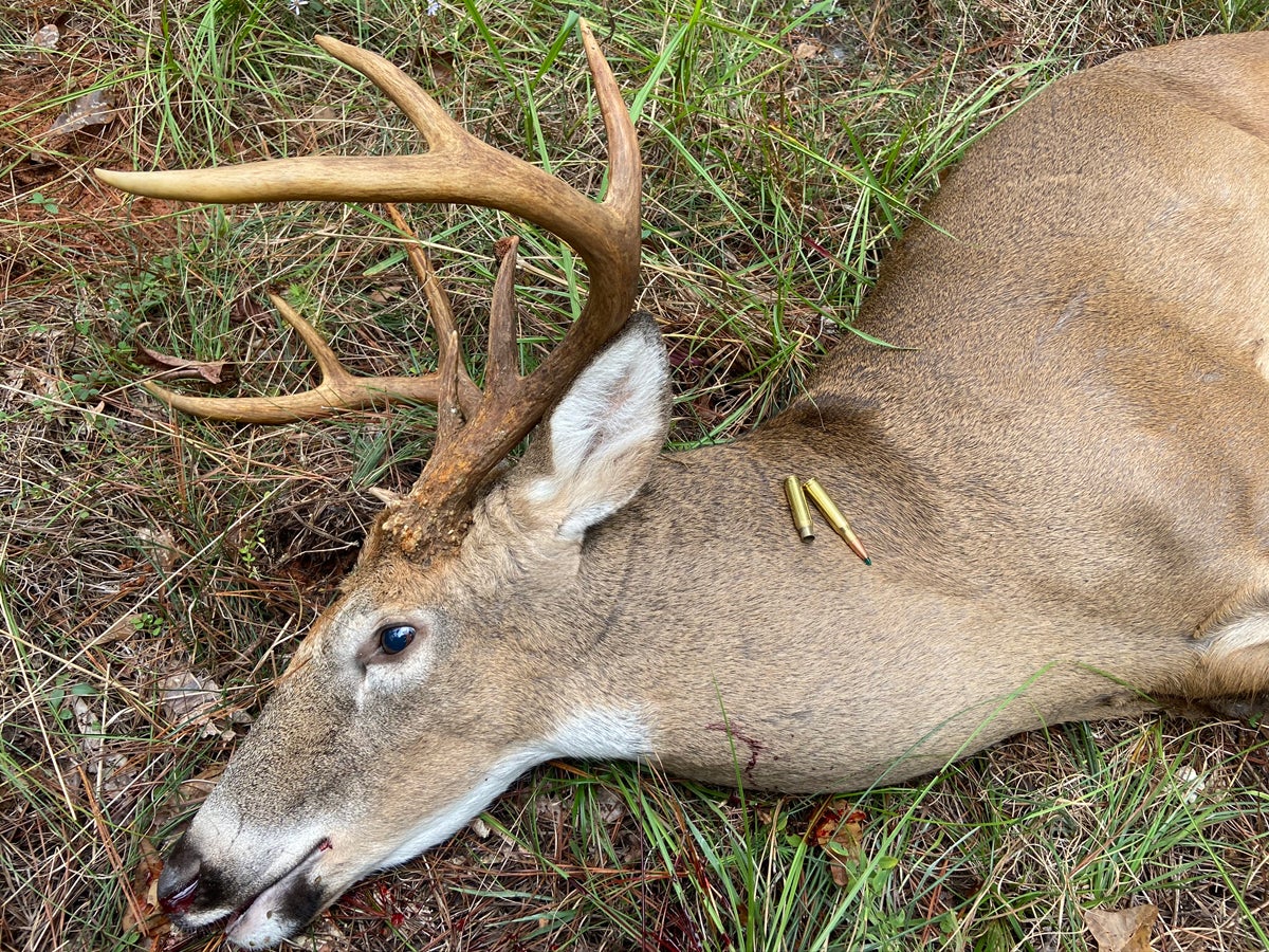 He was my heaviest whitetail to date at 185 pounds. (Photo © Russ Chastain)