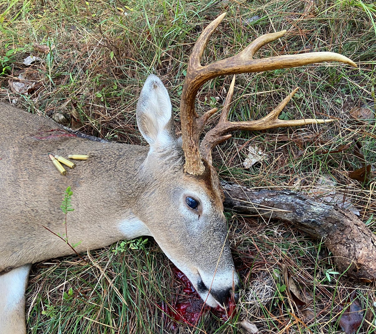 This buck had a really unique rack. (Photo © Russ Chastain)