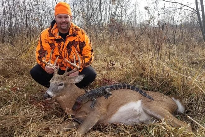 MN Whitetail Deer Hunter Bags Trophy Buck and an Alligator?!