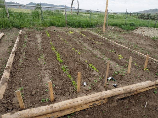 aeration aeration