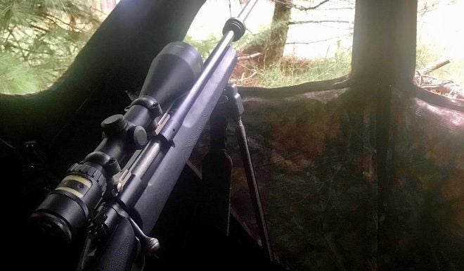 Rifle in the blind