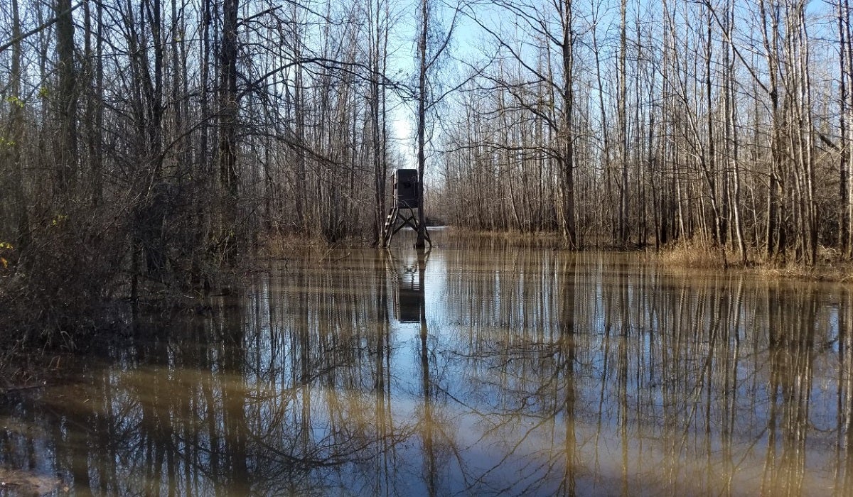 Does Rain Impact Deer Hunting? Weather can be a HUGE Factor. Does Rain Impact Deer Hunting? Weather can be a HUGE Factor.