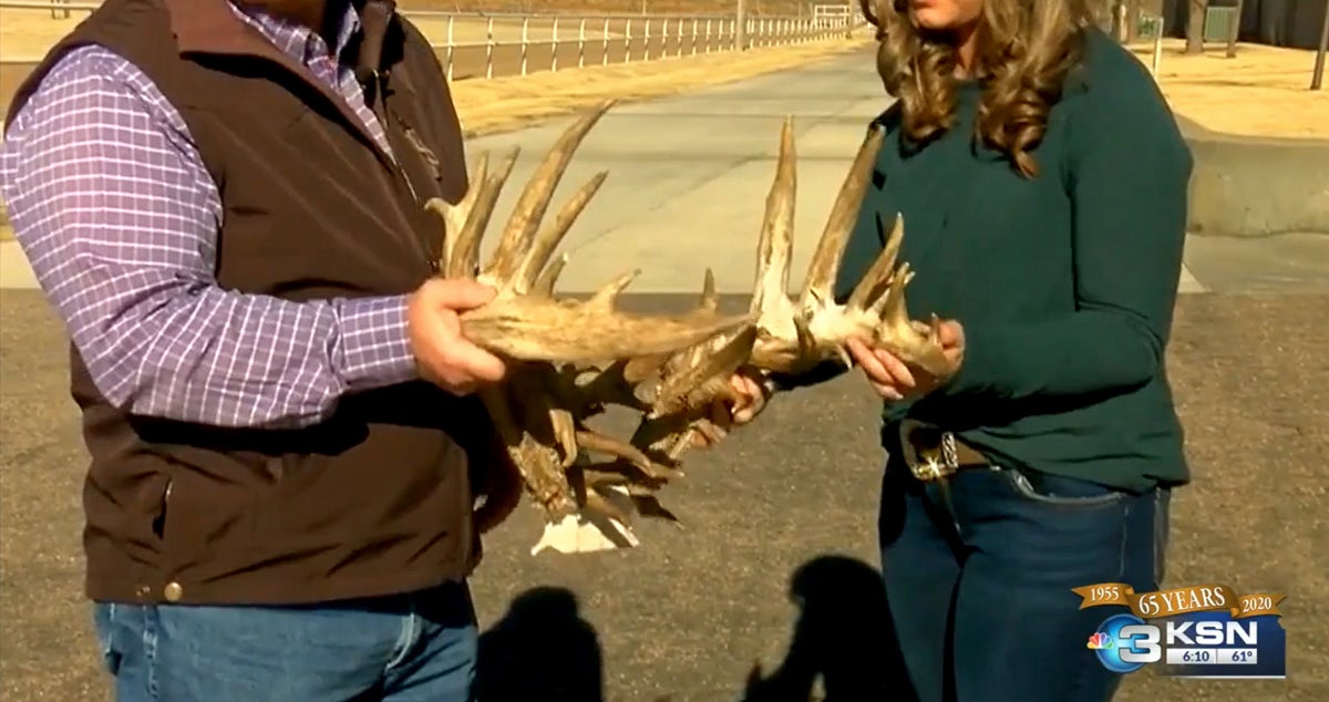 world record non-typical whitetail