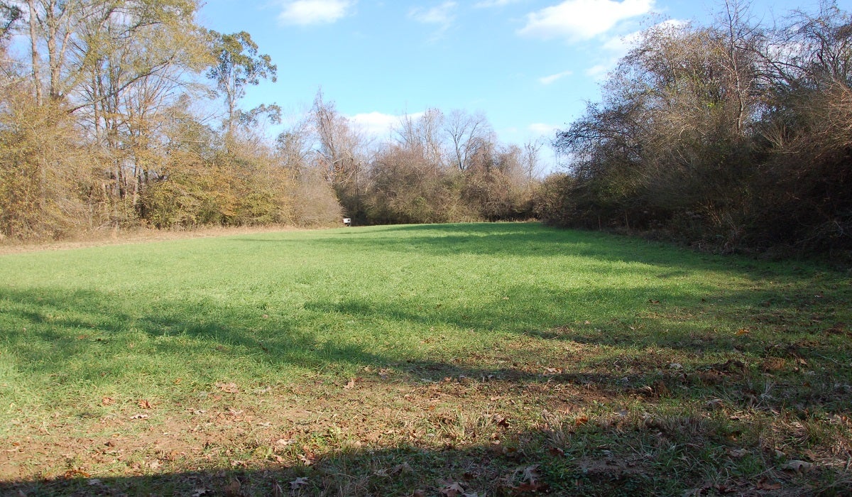 Why am I Not Seeing Deer in the Late Season? Why am I Not Seeing Deer in the Late Season?