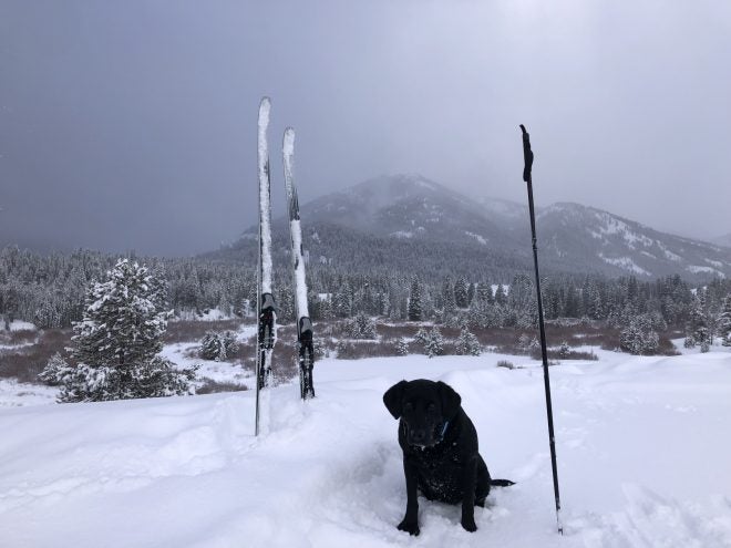 Home On The Range #14: No Roads? Snow Problem With Nordic Skis