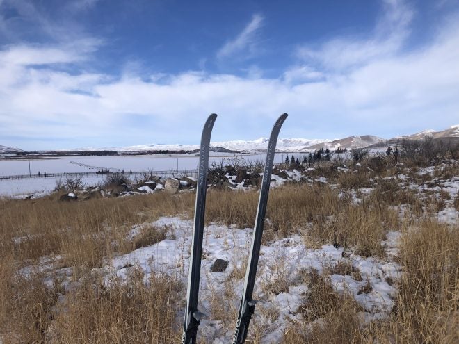 skier skier