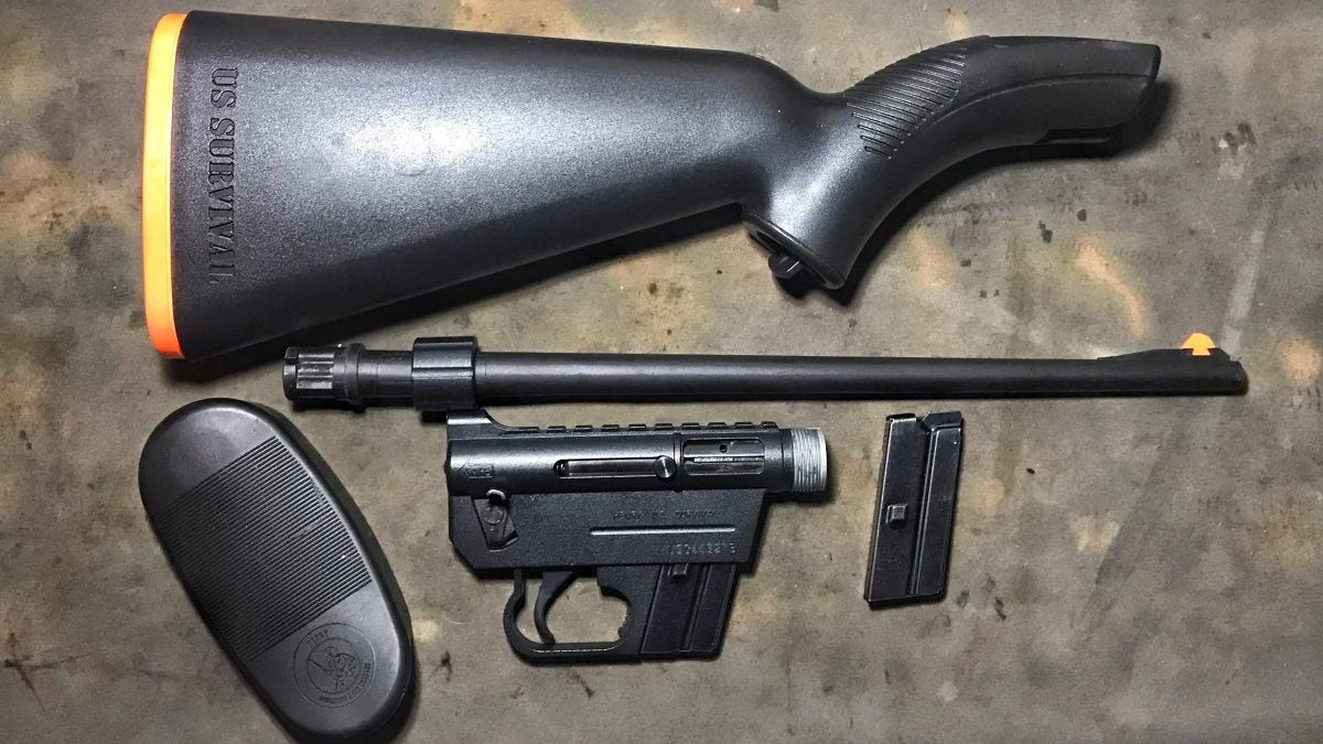 Charter Arms c1966 Handgun and AR-7 Catalog 