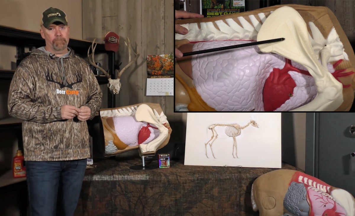 Drop Deer Instantly With This Shot Drop Deer Instantly With This Shot