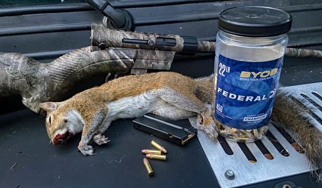 Squirrel Hunting With the Henry AR-7 Survival Rifle