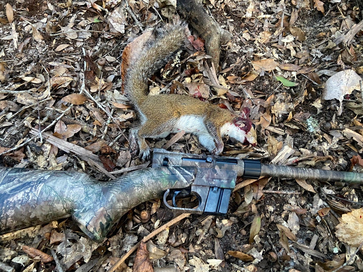 I bagged this young & tender squirrel with a 25-yard head shot. (Photo © Russ Chastain)