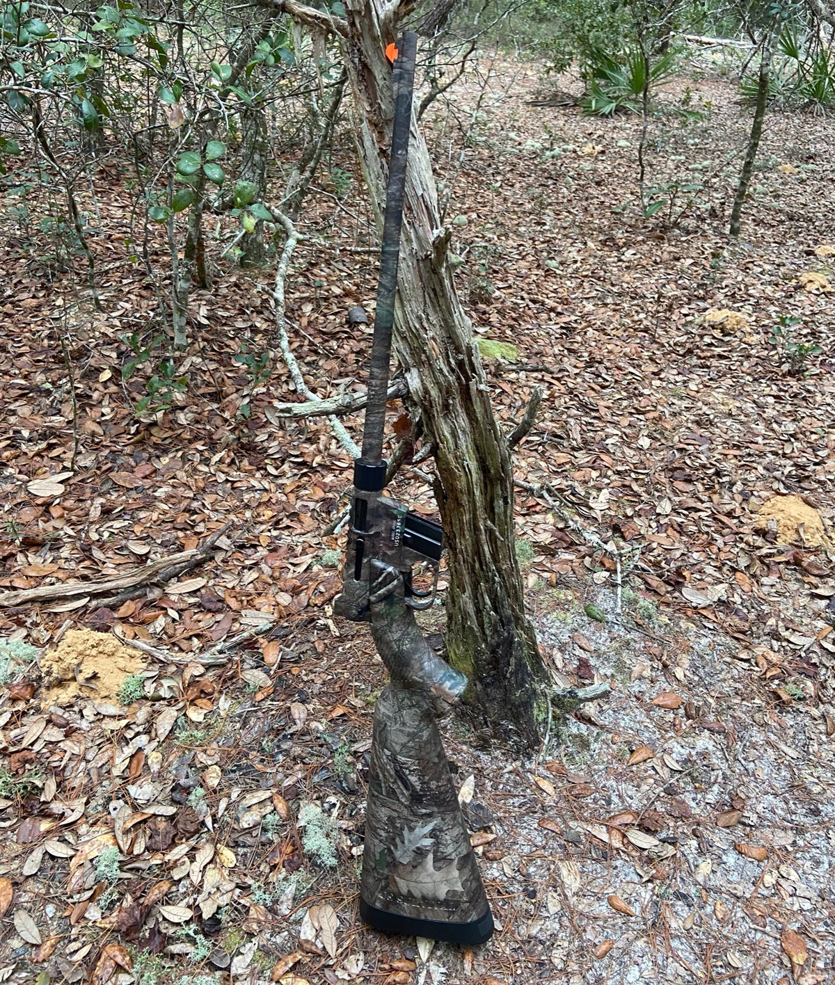The Henry AR-7 Survival Rifle makes a good woods companion. (Photo © Russ Chastain)
