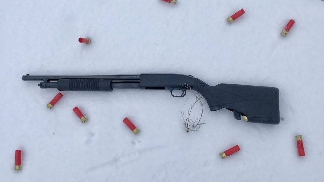 AllOutdoor Review: TactaLoad Flash-5 Shotgun Stock