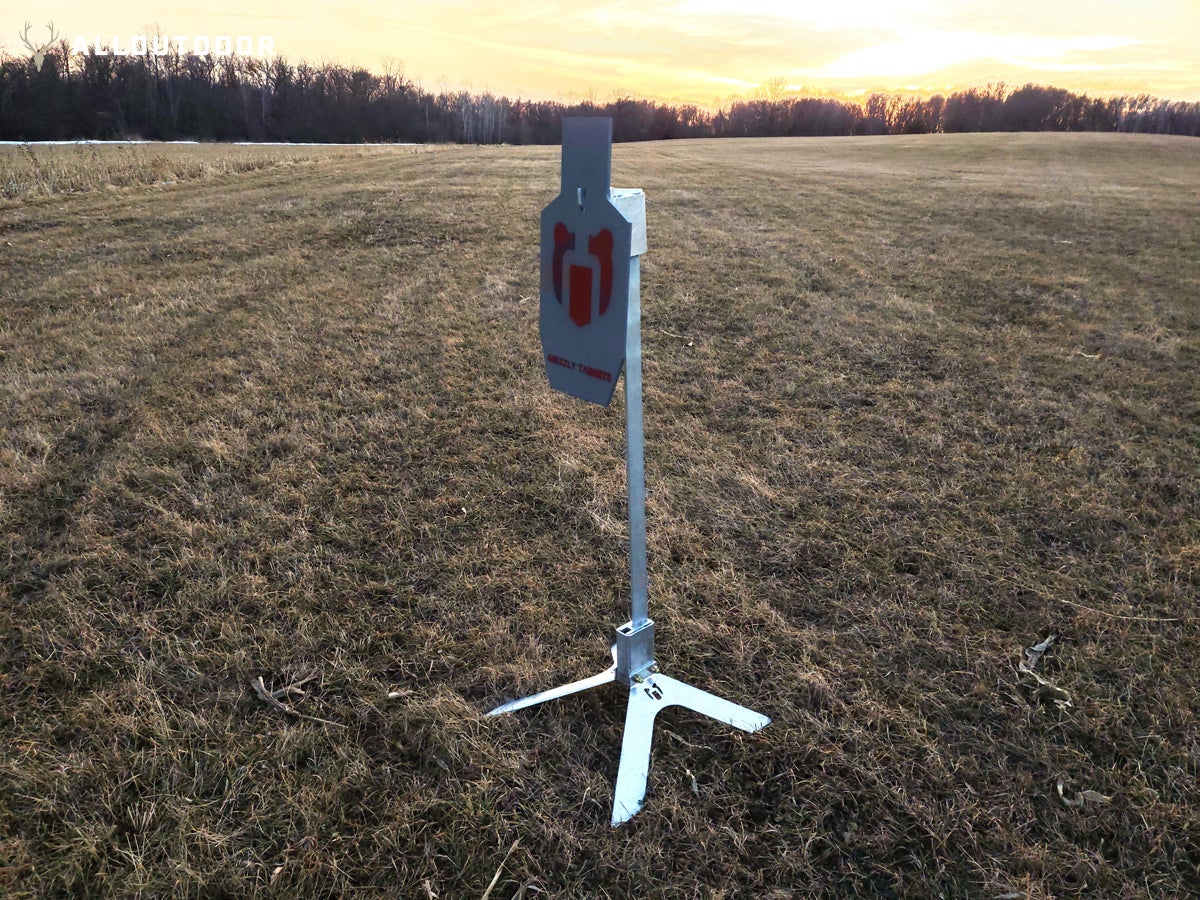 grizzly targets