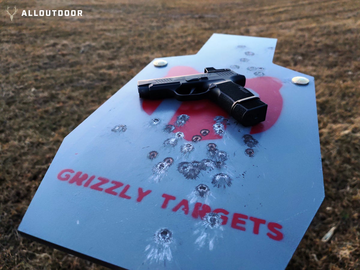 grizzly targets