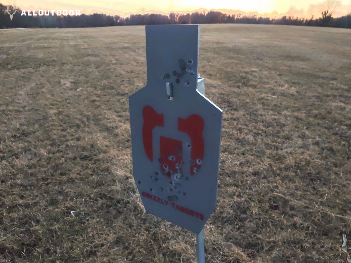 ar500 ipsc