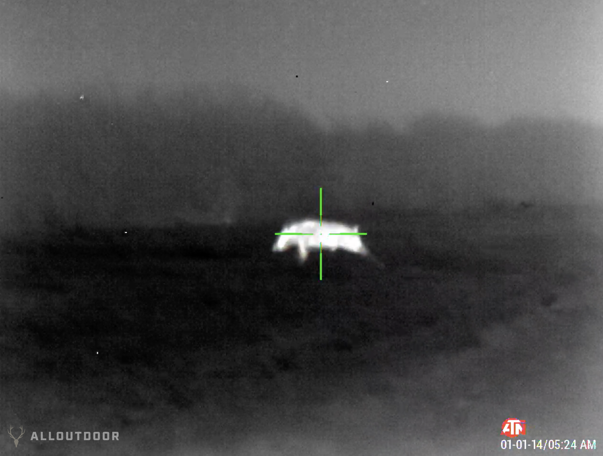 ATN Thermal/Night Vision Wild Hog & Coyote Hunt ATN Thermal/Night Vision Wild Hog & Coyote Hunt
