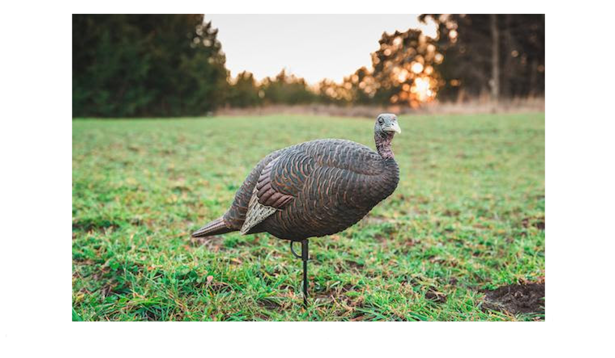 Thunder Chick Breeder Decoy