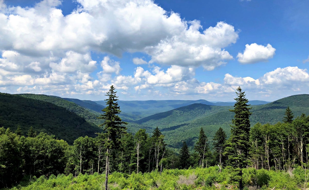 The Path Less Traveled #008 – Experiences Hiking In The Cranberry Wilderness The Path Less Traveled #008 – Experiences Hiking In The Cranberry Wilderness