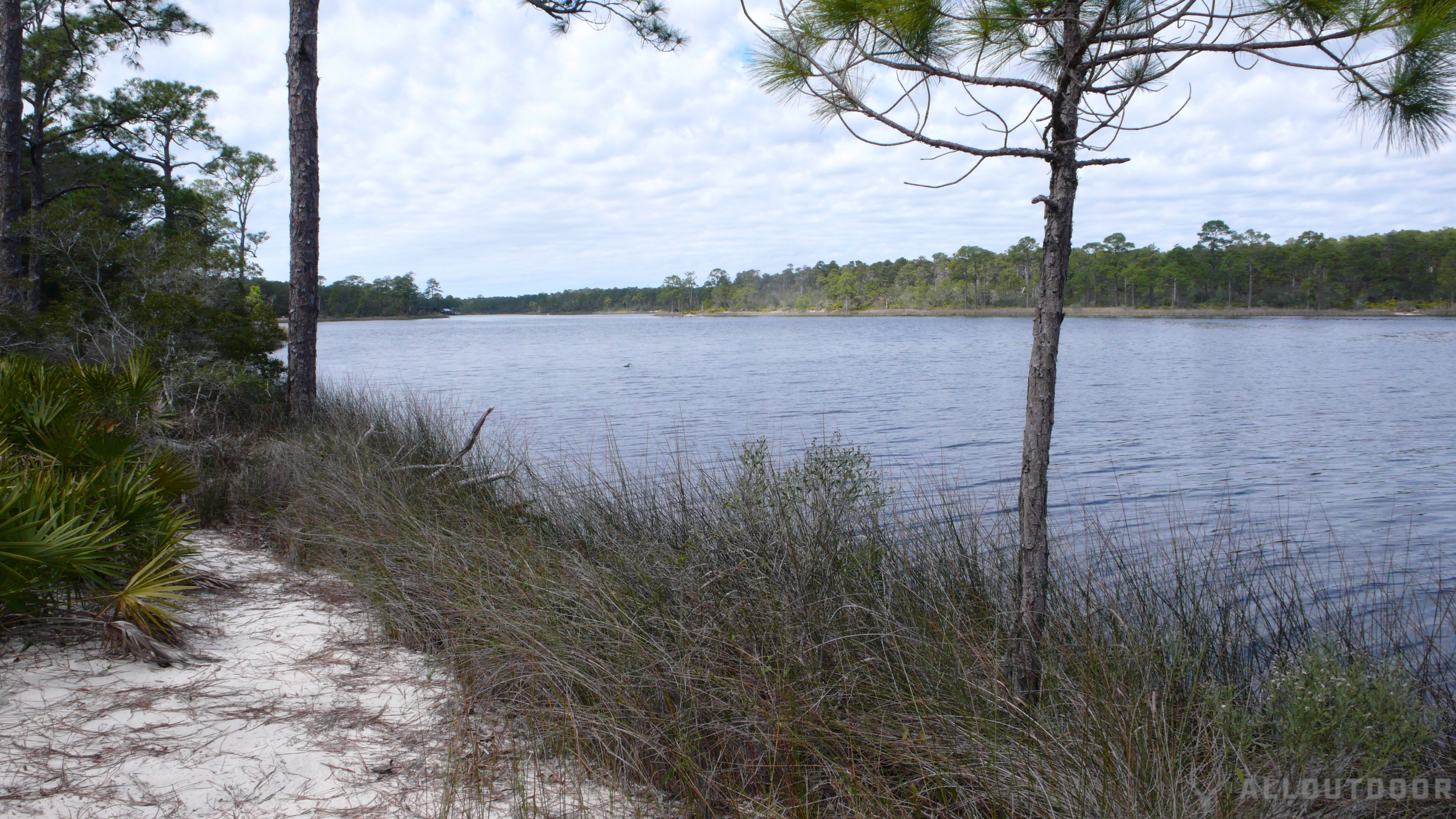 St Andrews & Camp Helen state park review