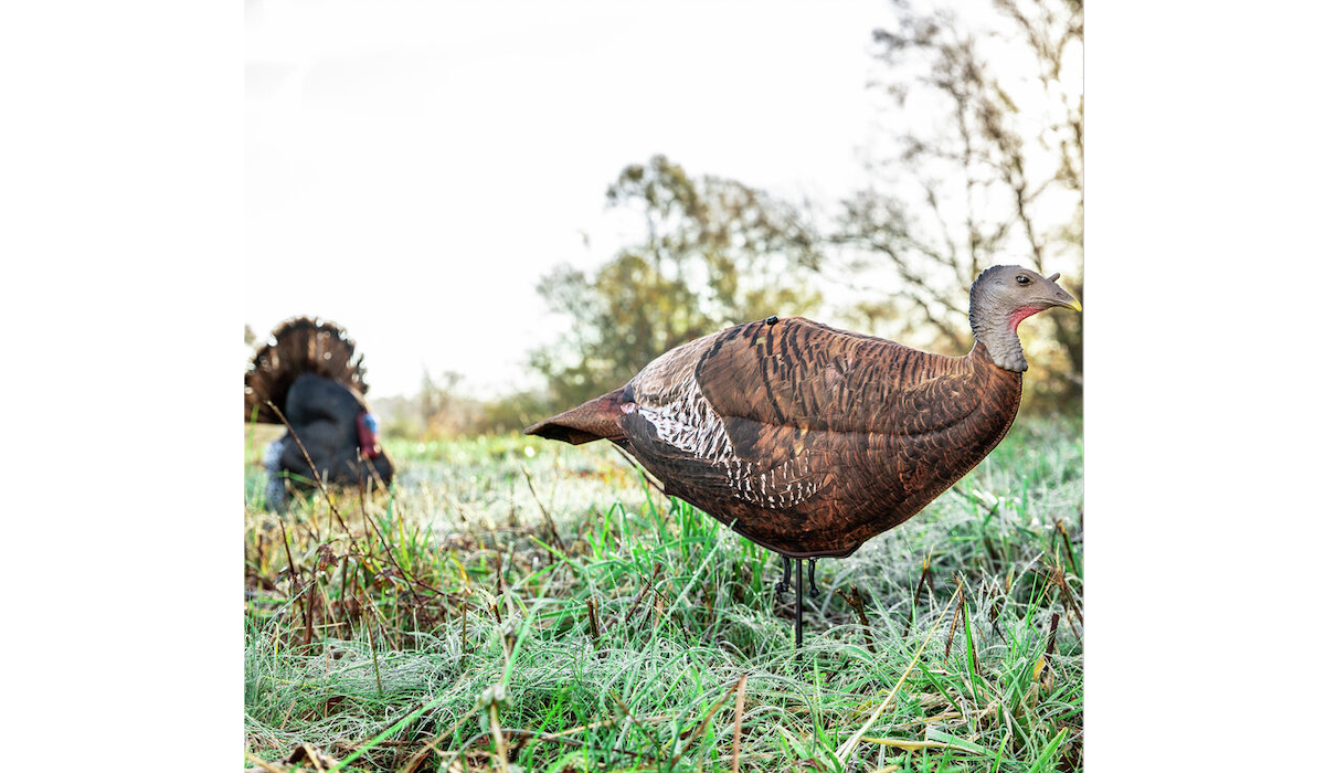 Photoform Turkey Decoy