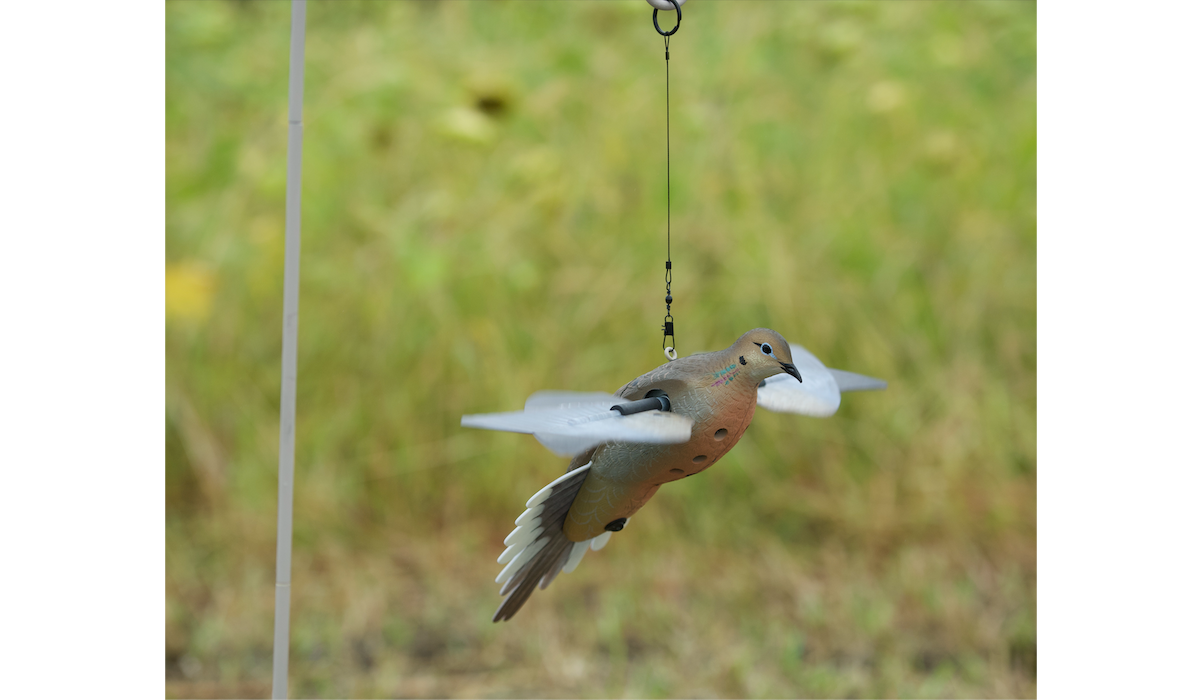 PowerFlight Dove