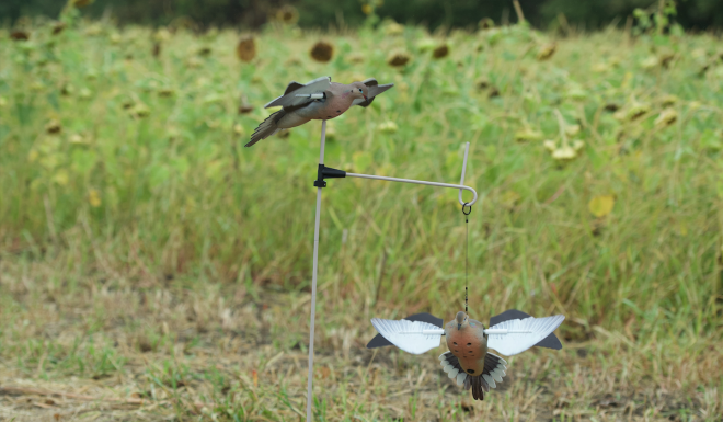 NEW from Avian-X – Introducing the PowerFlight Dove Decoy