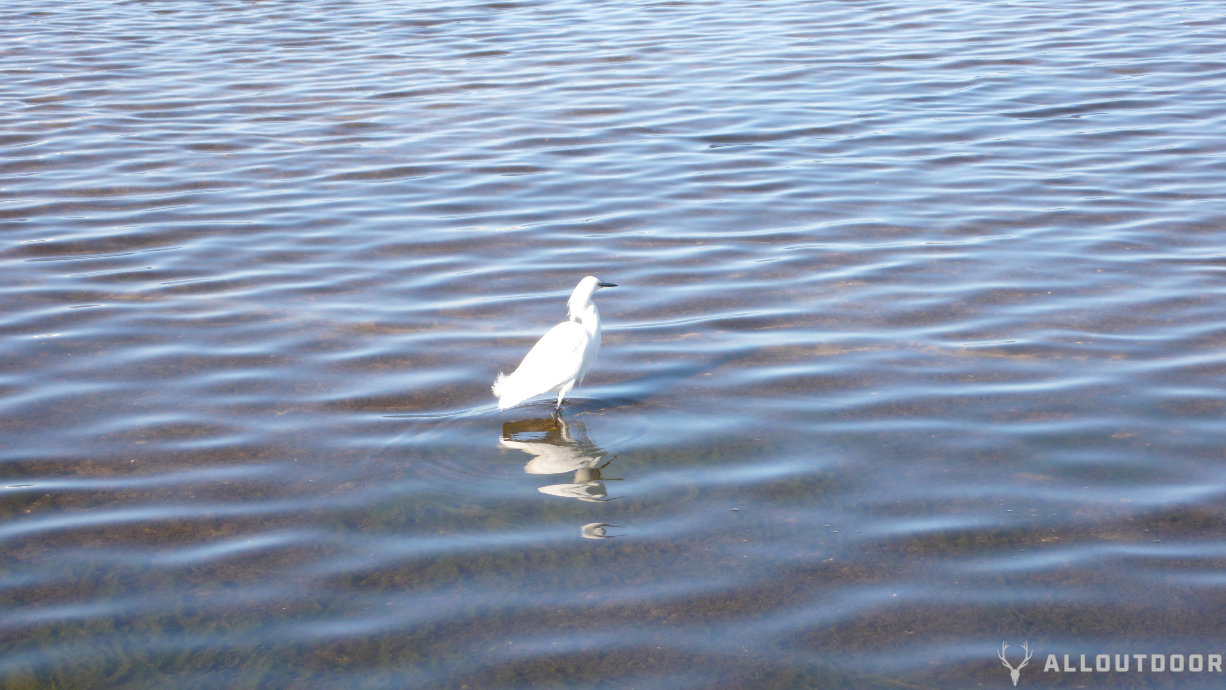 St. Andrews State Park Review