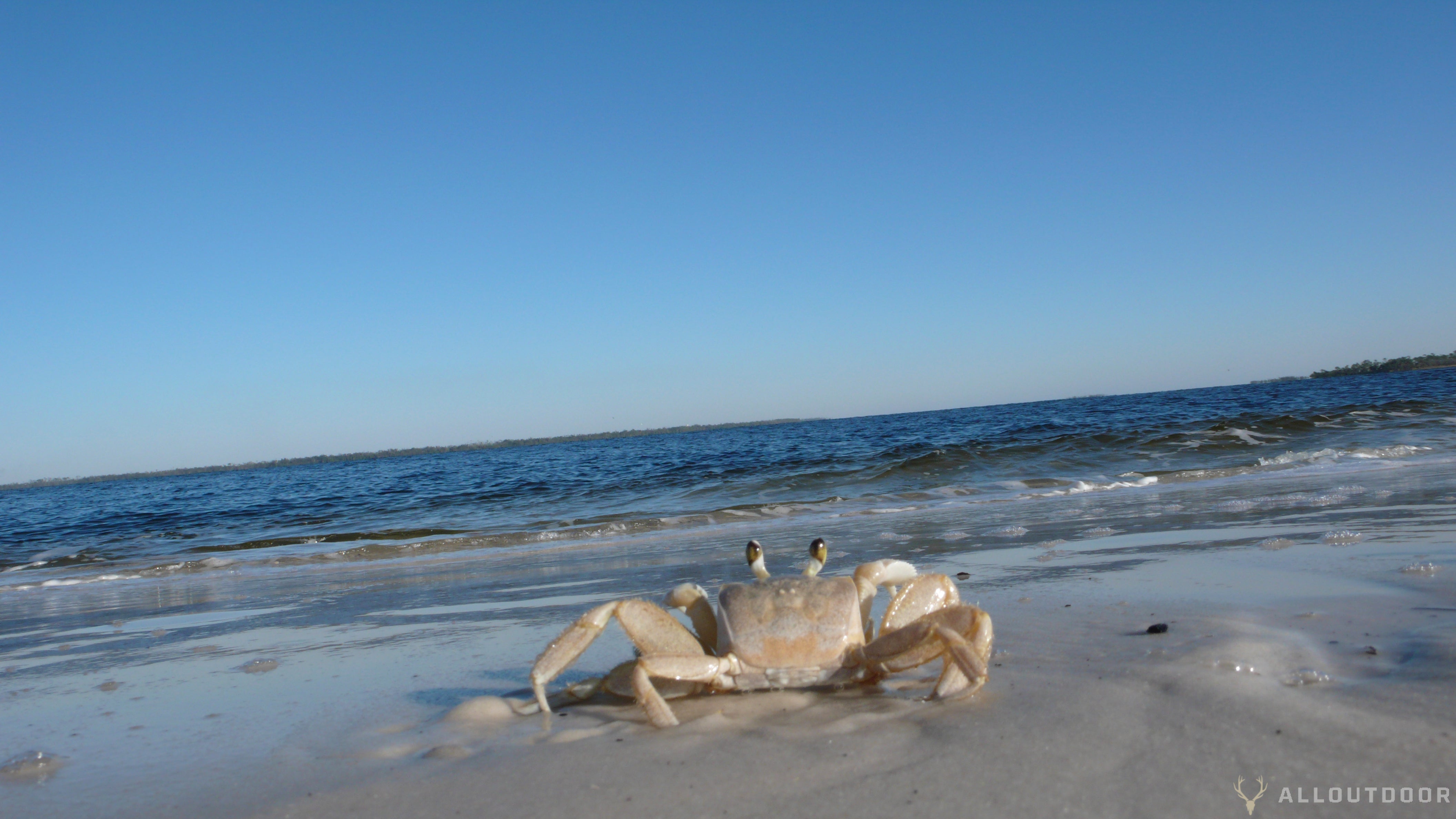 AO Review: Florida’s St Andrews State Park & Camp Helen State Park AO Review: Florida’s St Andrews State Park & Camp Helen State Park