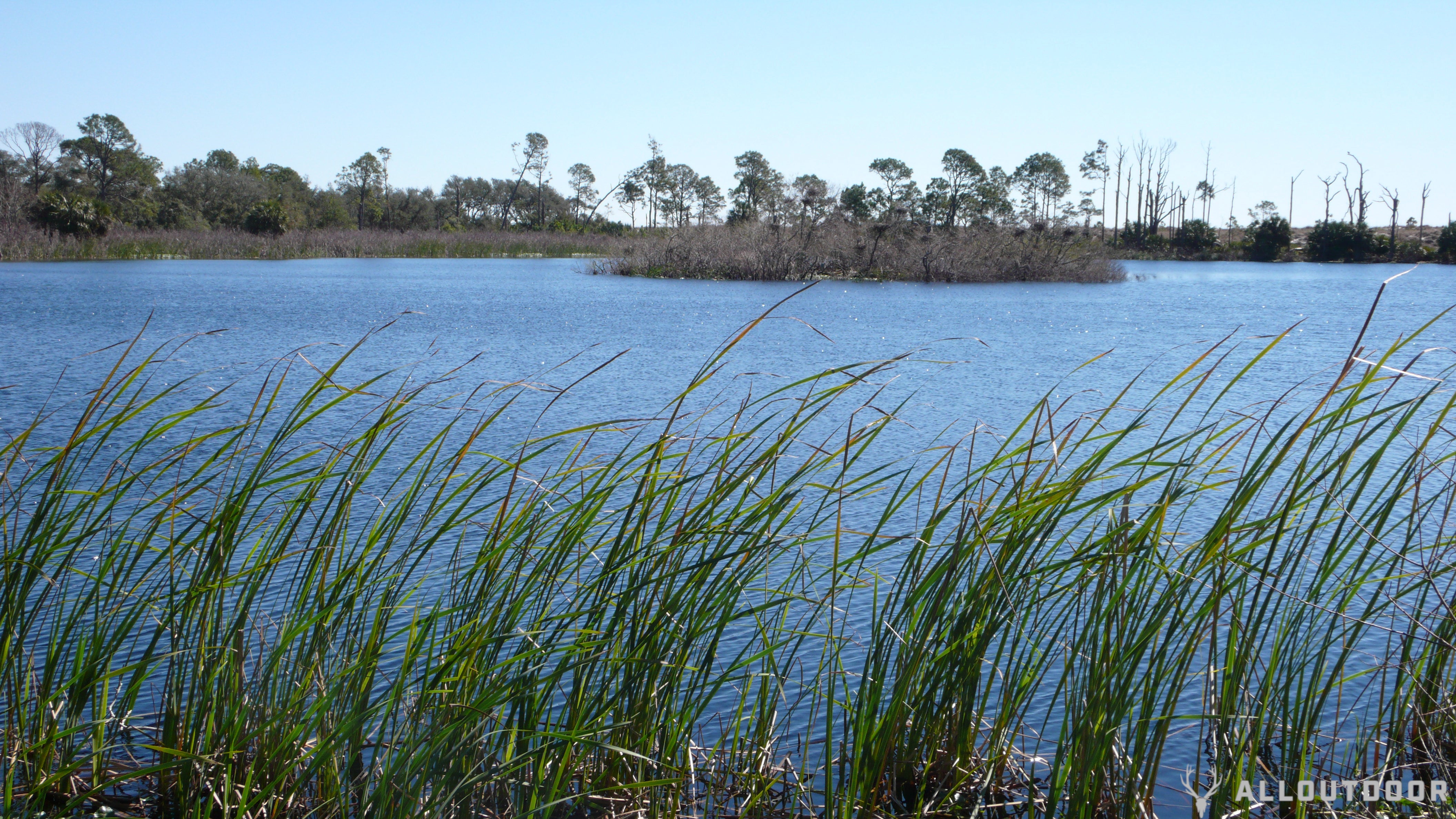 St Andrews State Park review