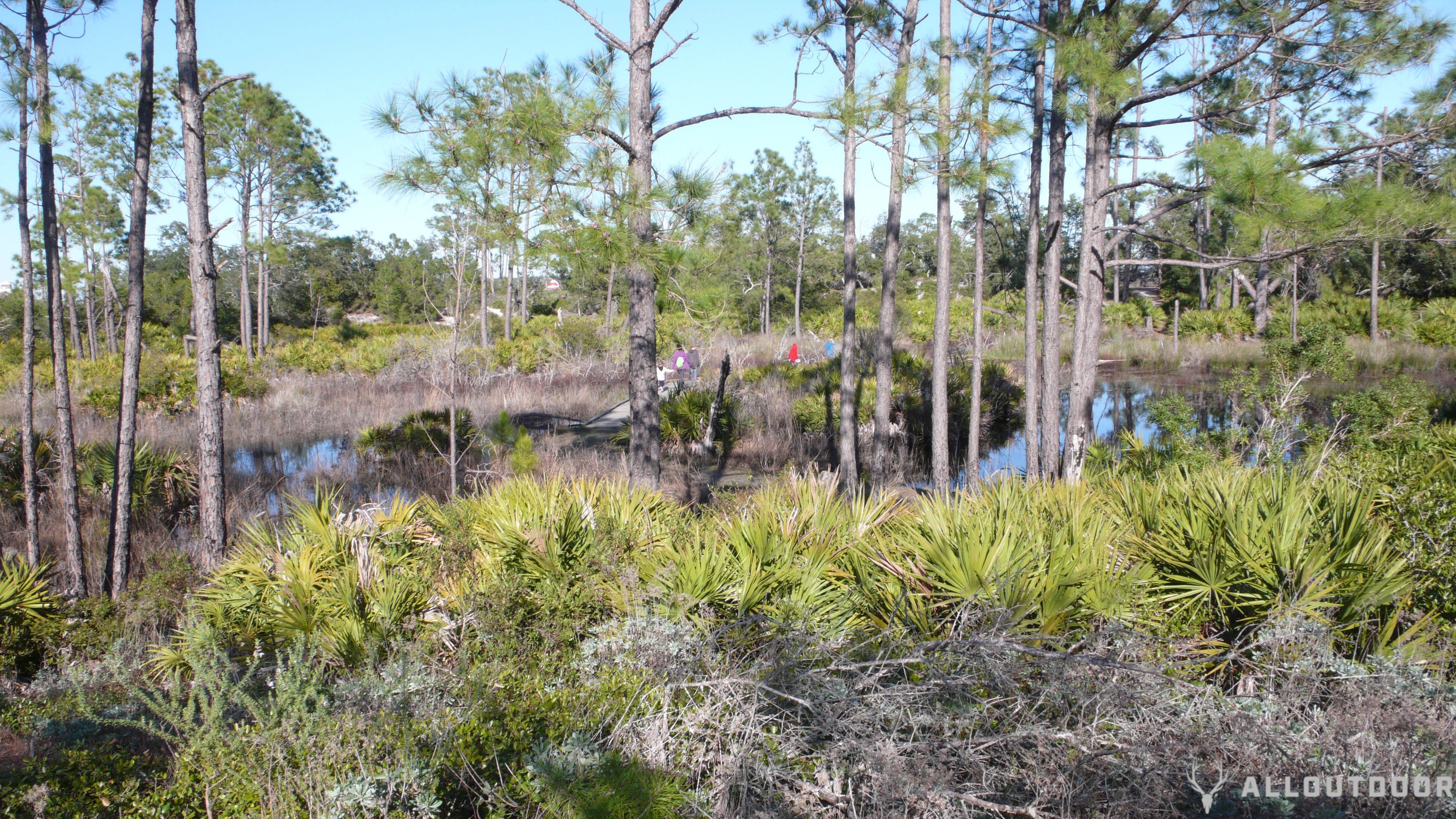 St. Andrews State Park review