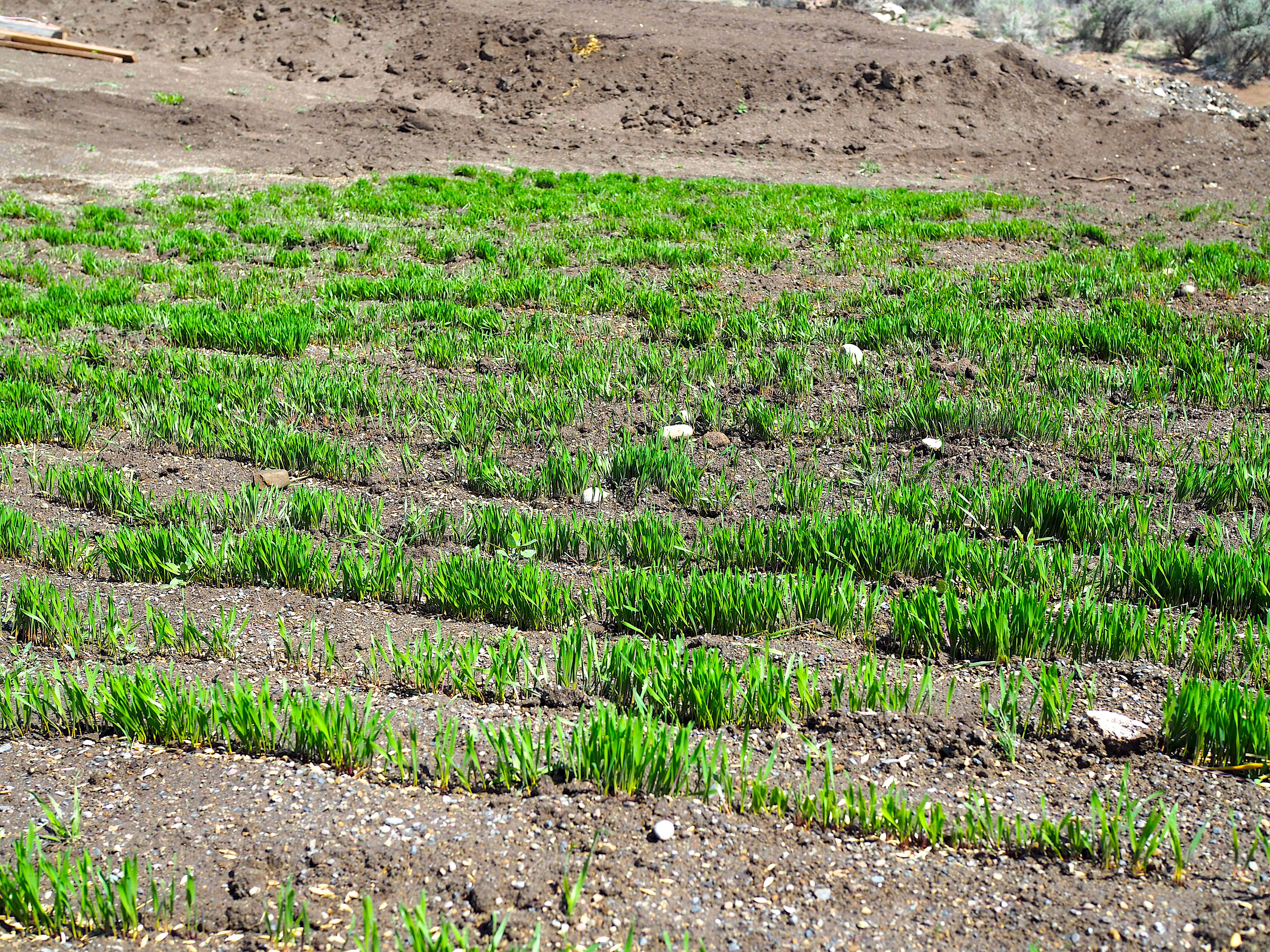 Agriculture Agriculture