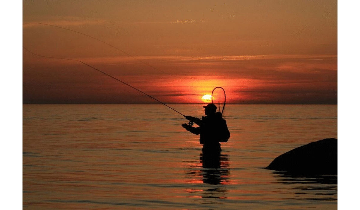 Boating and Fishing Foundation says 2020 Banner Year for Fishing Boating and Fishing Foundation says 2020 Banner Year for Fishing