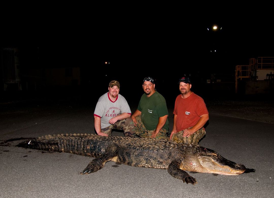 Gator Hunting? Alabama Registration for Alligator Hunting Open Now! 