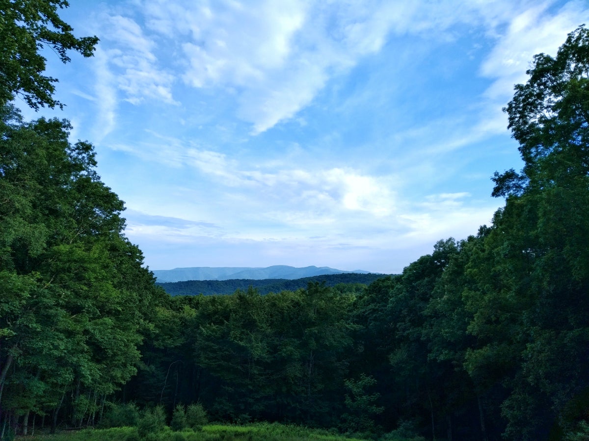 Allegheny Trail - West Virginia's Best Kept Secret