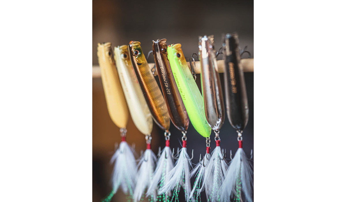 NEW Daiwa Ever Green Showerblow SB-77.7 for Topwater Action