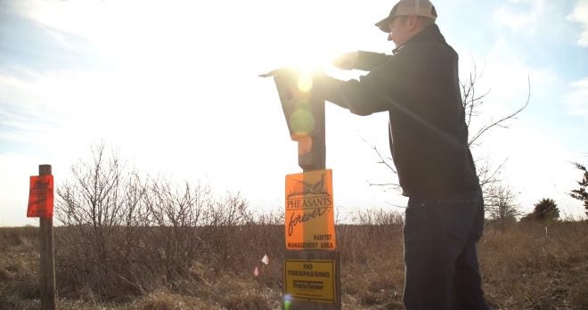 Western Minnesota Habitat Complex Expanded by Pheasants Forever