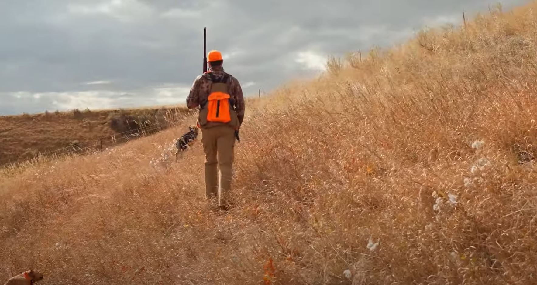 Western Minnesota Habitat Complex Expanded by Pheasants Forever and Partners