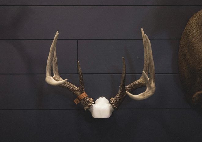 New DIY Hang Up Taxidermy Mount from BIG 8 Products