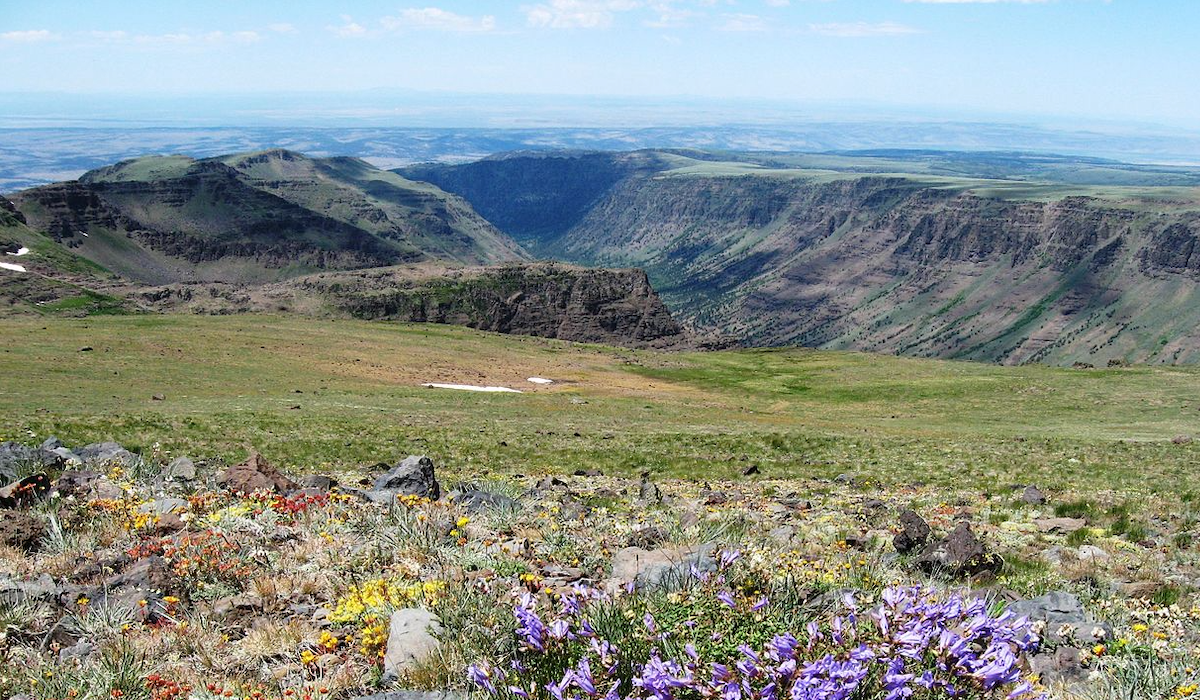 Oregon Elk Habitat