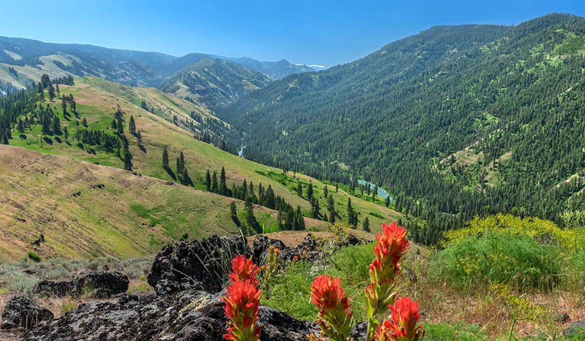 RMEF Works to Conserve 15,573 Acres of Oregon Elk Habitat RMEF Works to Conserve 15,573 Acres of Oregon Elk Habitat