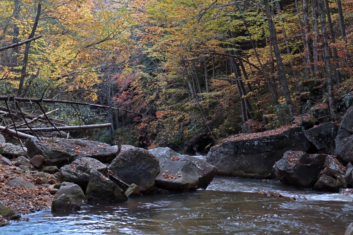 Leaf peeping season fall foliage colors hiking camping biking tourism