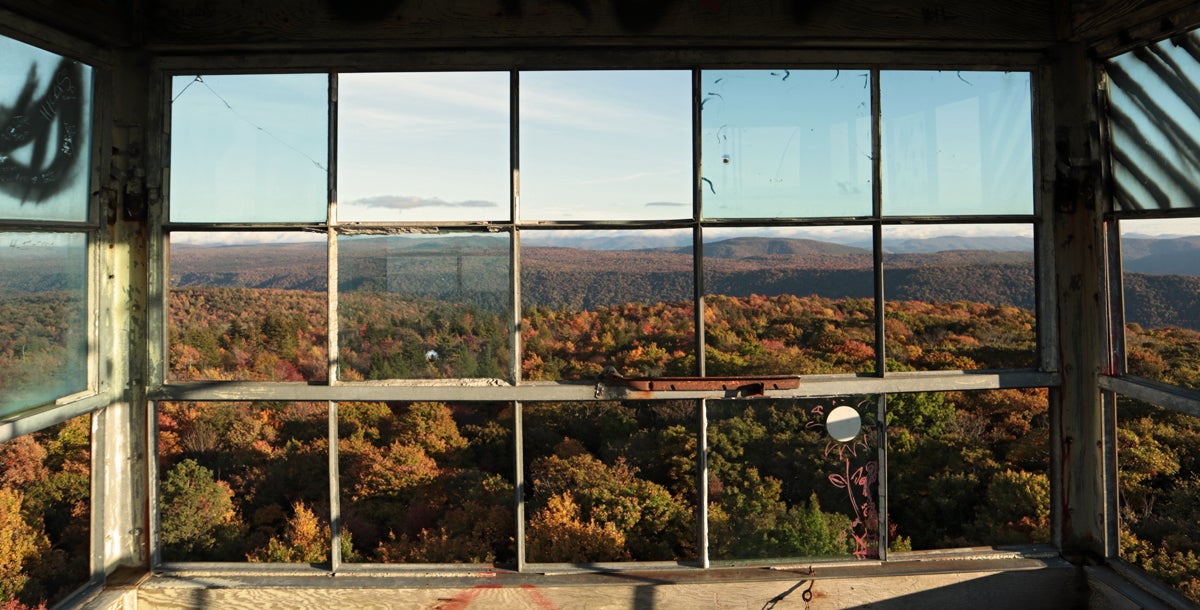 The Path Less Traveled #027 – Leaf Peeping Season! The Path Less Traveled #027 – Leaf Peeping Season!