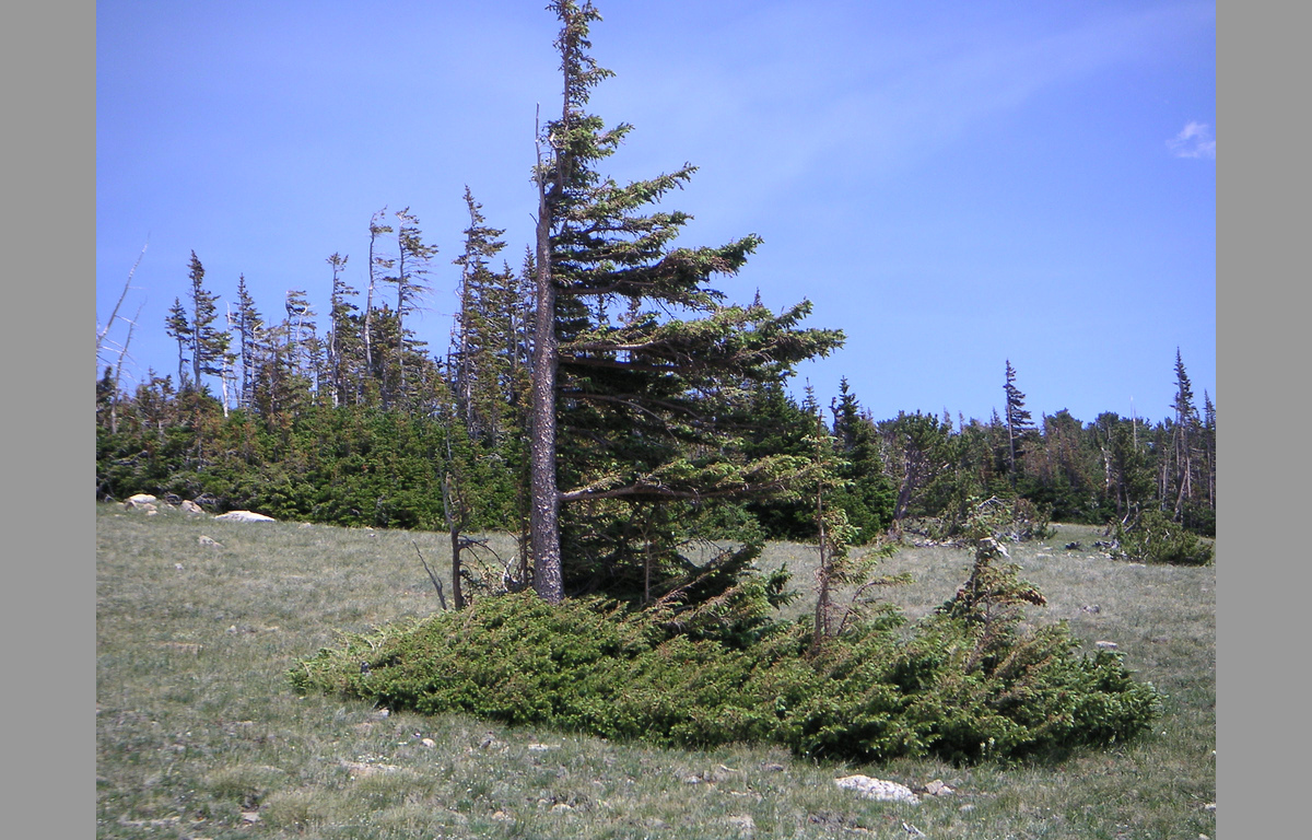 Cold Weather Short Story Dolly Sods Cold Winter Camping